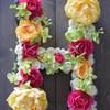 rose_ali